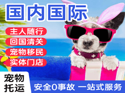 扬州空运公司国际宠物托运 【国